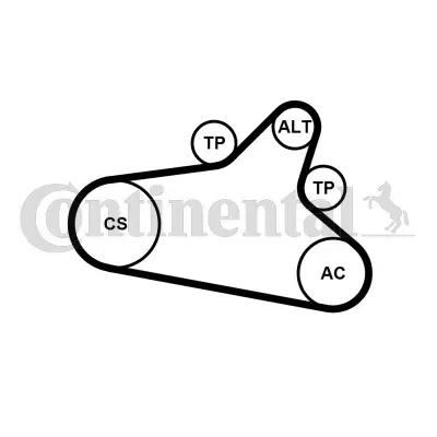 Mega-Angebot CONTINENTAL CTAM 6PK1020 EXTRA K1 - Keilrippenriemensatz